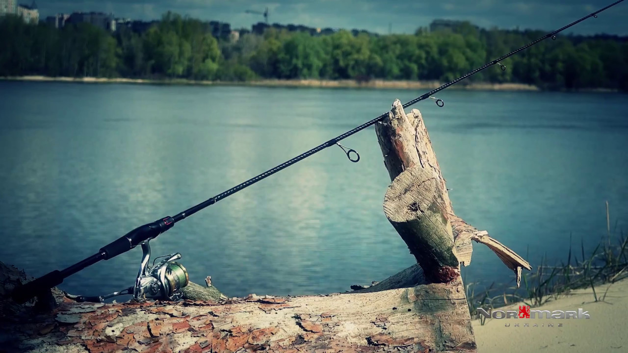 2017 Shimano ZODIAS