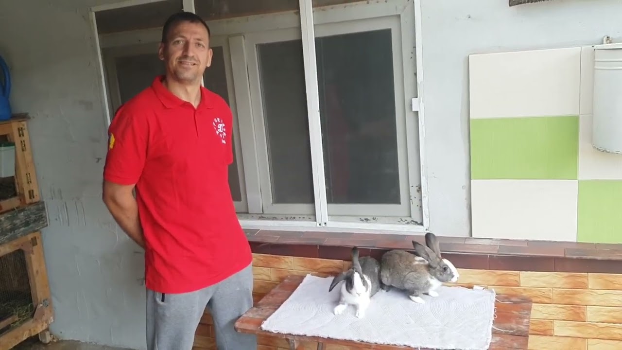 Intrebari incomode cu si despre iepuri cu Nicu Tamasel de la Avrig