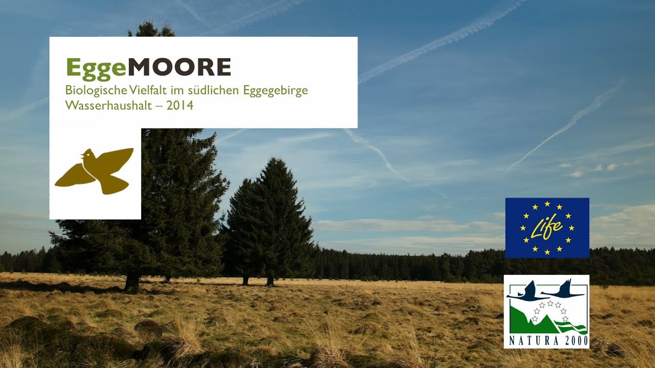 Wasserhaushalt der Eggemoore