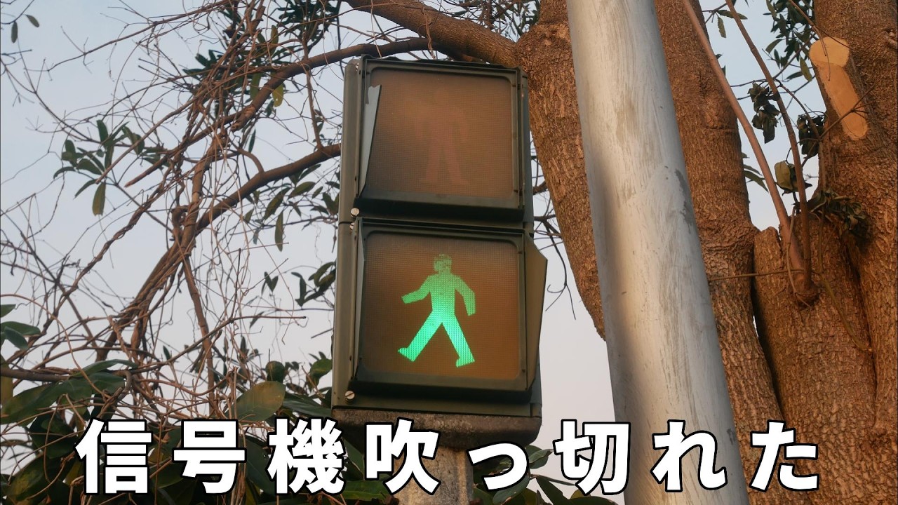 信 号 機 吹 っ 切 れ た