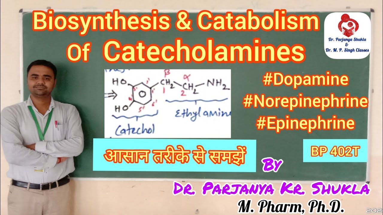 Biosynthesis and Catabolism of Catecholamines | Adrenergic Neurotransmitters | BP 402T