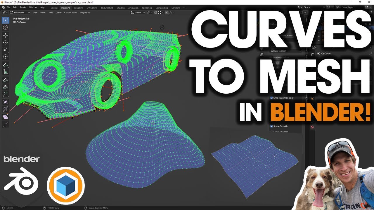 Surfaces from Curves with CURVES TO MESH for Blender!