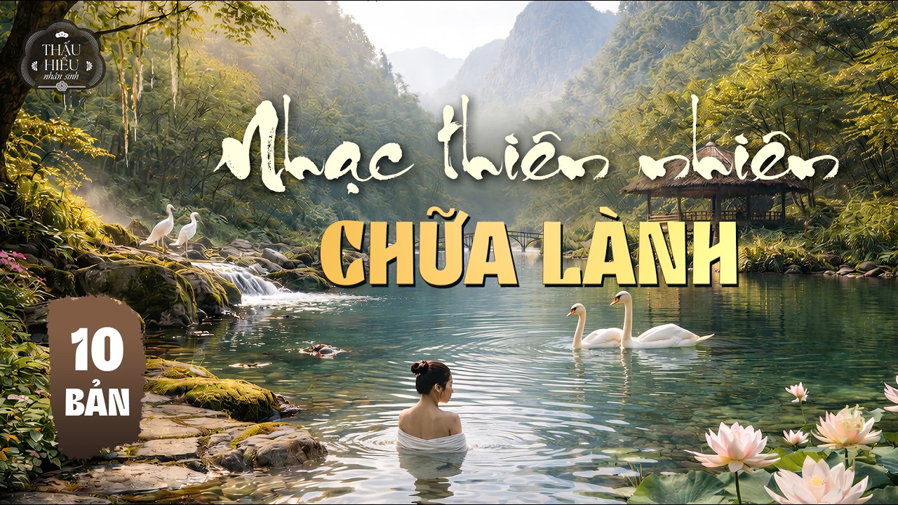 Thiên Nhiên Tĩnh Lặng – Hành Trình Cân Bằng Cuộc Sống | Nhạc Cân Bằng Cuộc Sống