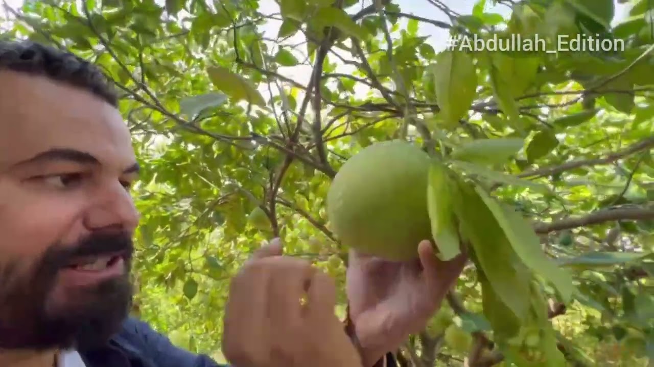 المحافظة السورية رقم ١٥ | صافيتا | الجزء الثاني | قرية بعمرة