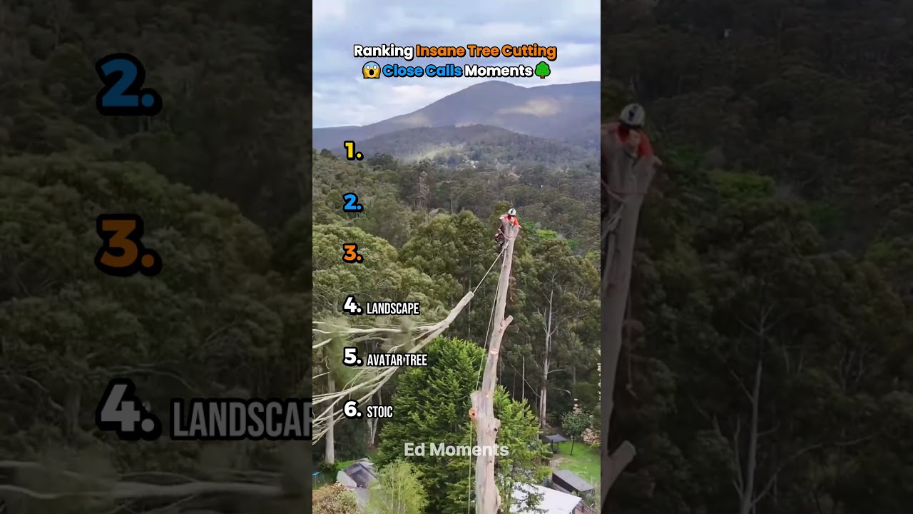 Insane tree cutting close calls Moments 🌳😱 #usa