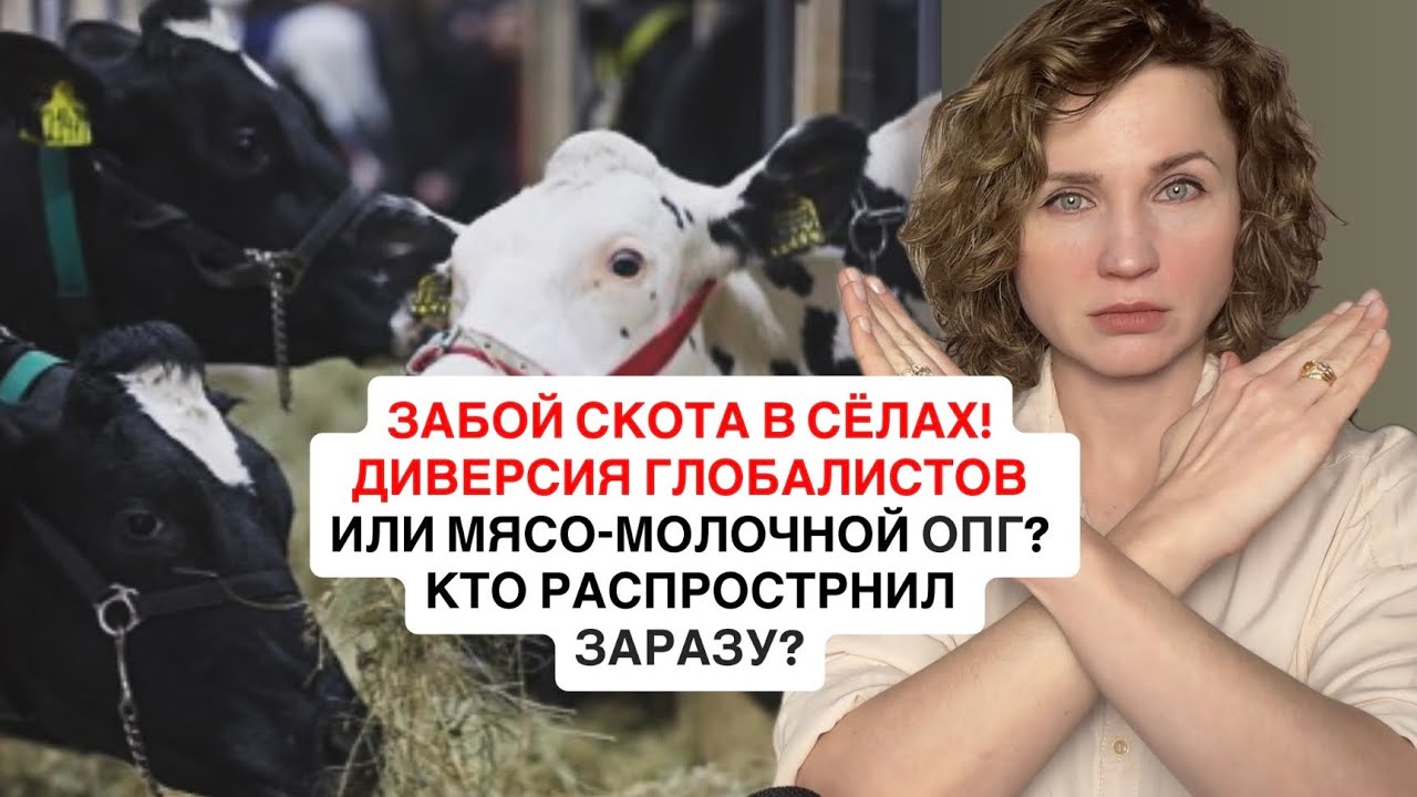Голод в сёлах: забой скота в Сибири! Инвестфонды США остановили выплаты: начало кризиса.