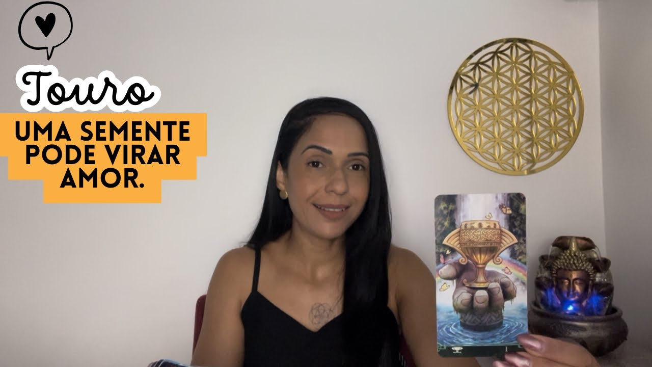 ❤️♉️ Touro | De um pequeno v&iacute;nculo pode nascer um grande amor ✨
