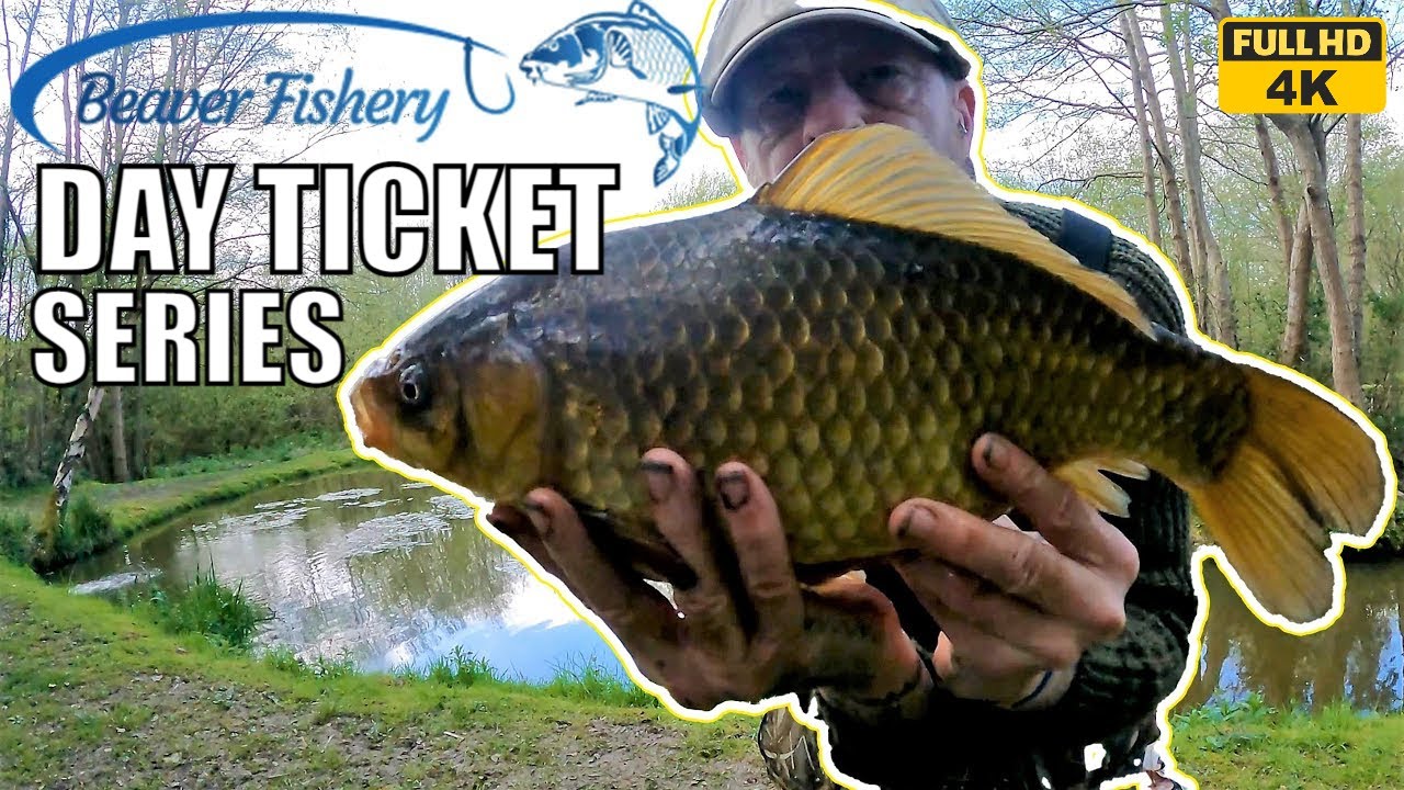 DAY TICKET FISHERIES - EP 1 - BEAVER FISHERY .