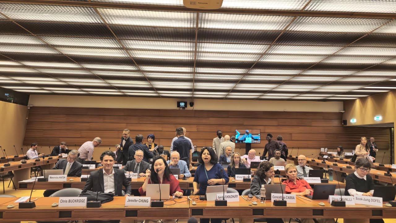 IGF MAG Working Group on Strategy | Second Webinar on WSIS+20 Review Non-Papers