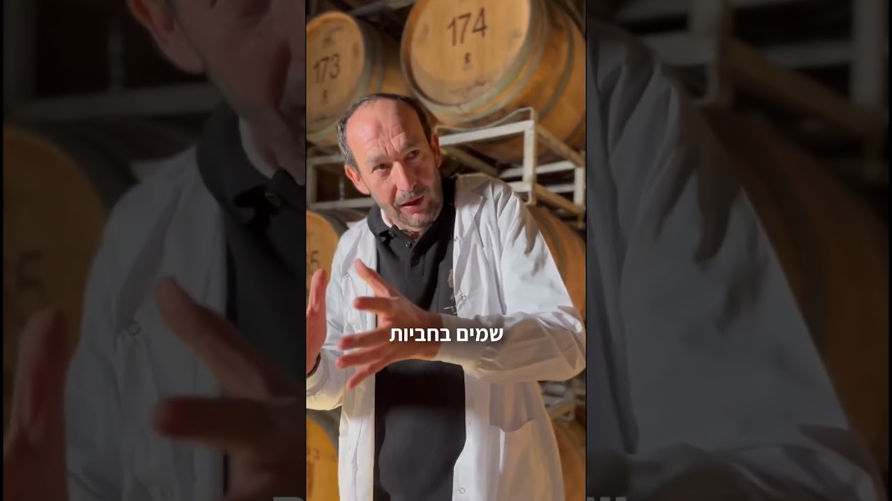 יין אדום יותר איכותי כי הוא בחבית?🍷🤔#יקב_היוצר #לחיי_היצירה #יקב