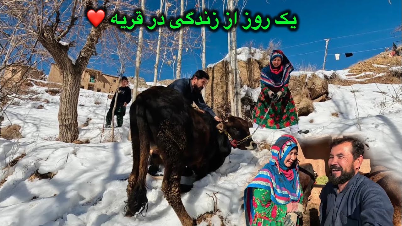 یک روز از زندگی ما در قریه ❤️😍 کار های روز مره 🌲