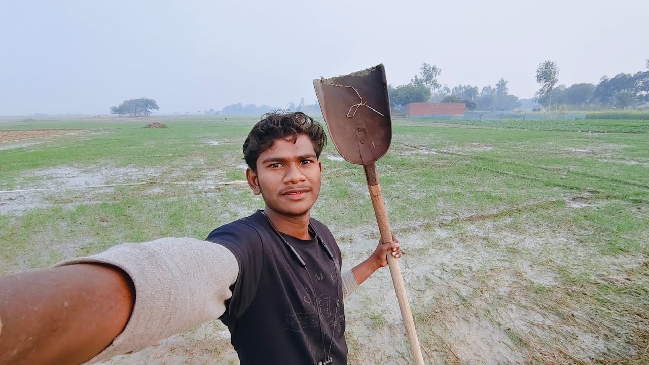 13°C thand me गेहुं सिंचाई | real Village Life vlog 