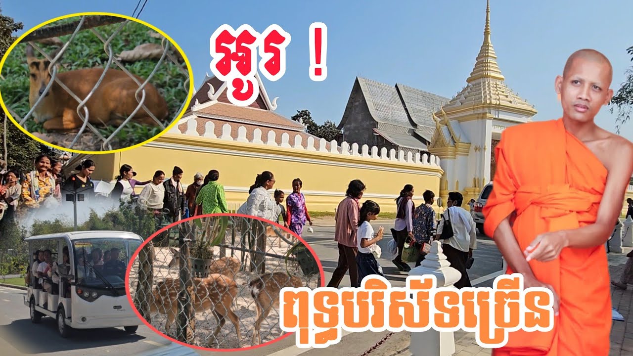 ថ្ងៃនេះ ពុទ្ធបរិស័ទសំរុកមកច្រើន 