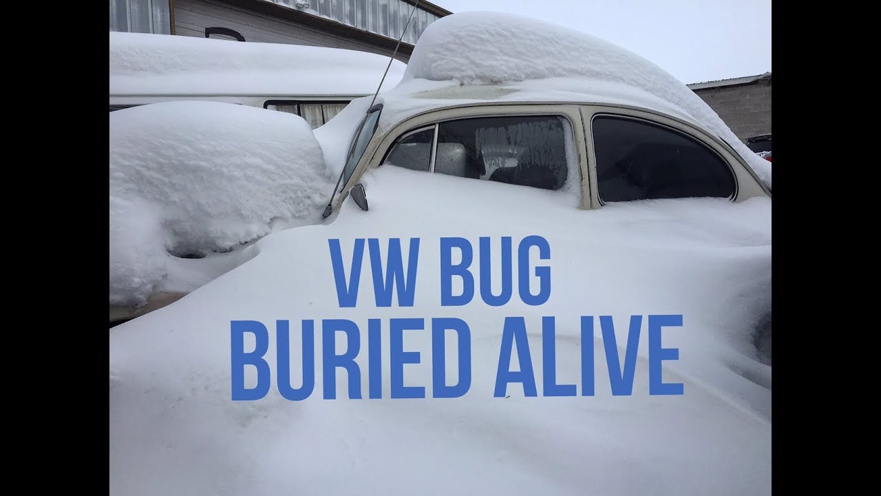 69 Volkswagen Beetle завален снегом. Сможем ли мы его выехать?