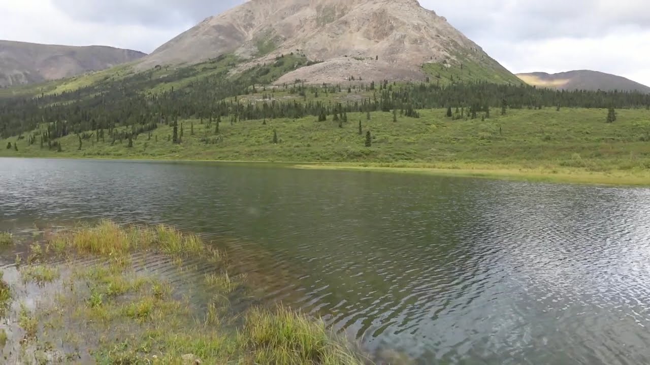 Beautiful Outdoor Scenery 1080p - Summer & Fall - Enjoy The Calm Wind