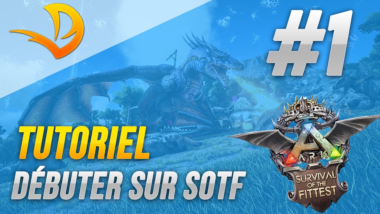 Débuter sur ARK: SOTF - Episode 1 - Réglages & Théorie