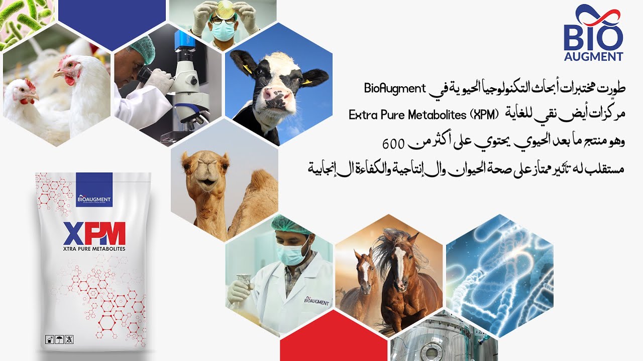 BioAugment Arabic Final