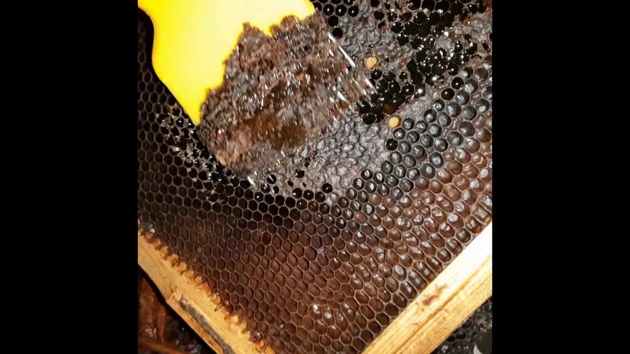 صنع فرازه عسل من مواد  غير مكلفه 🐝🥀