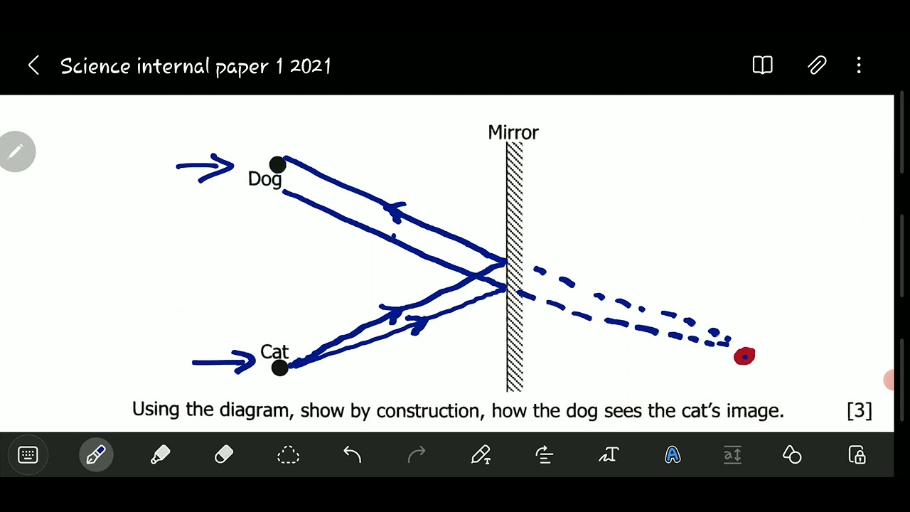 ECZ 2021 SCIENCE PAPER 1 INTERNAL QUESTION B7