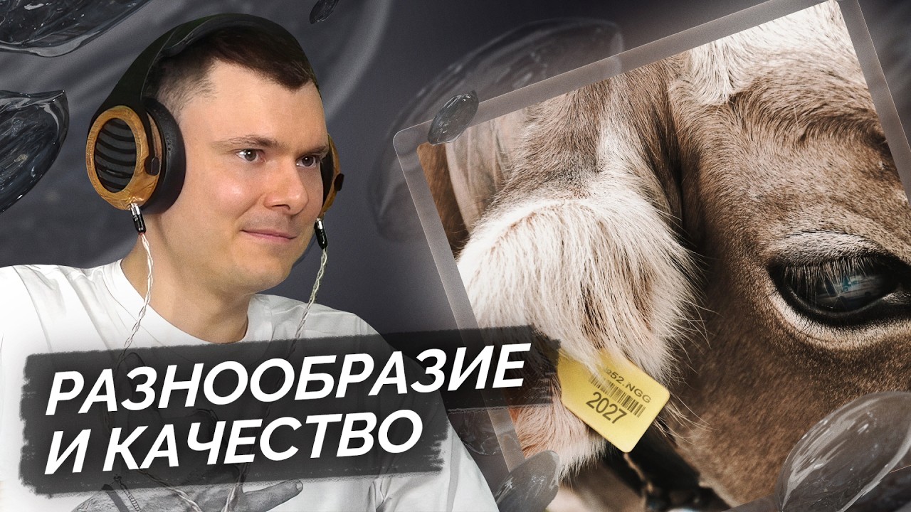 FRIENDLY THUG 52 NGG &mdash; COW | Разбор трека
