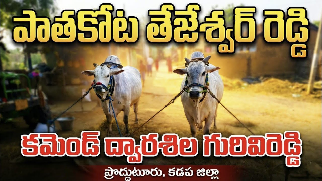 🚩15/3/26/ఒంటిమిట్ట(మ)మల్కాట్ పల్లి సీనియర్స్ 2జతపాతకోట తేజశ్వర్ రెడ్డి గారు+ద్వారశిల గురువి రెడ్డి