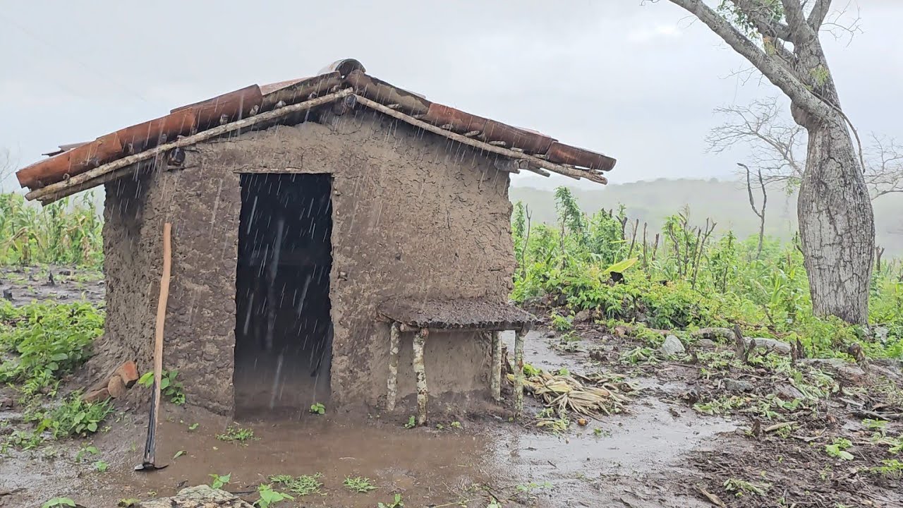 Chuva forte temporal muita lama ⛈️alagou tudo na roça no interior da paraiba