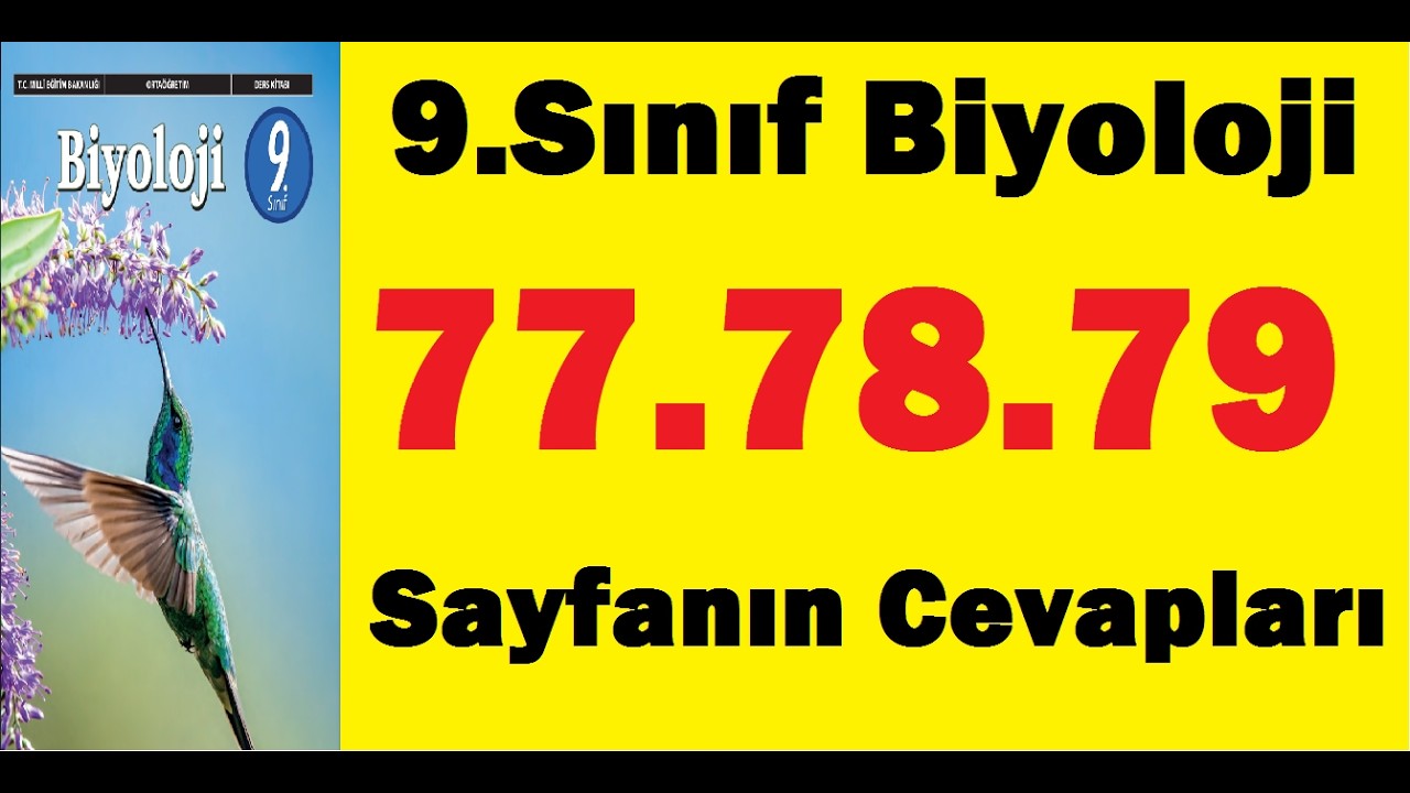 9.sınıf biyoloji ders kitabı sayfa 77 78 79 cevapları pdf çözümleri meb
