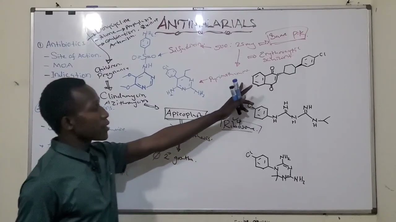 ANTIBIOTICS and drug COMBINATIONS used in Malaria, MOA of DOXYCYCLINE. 