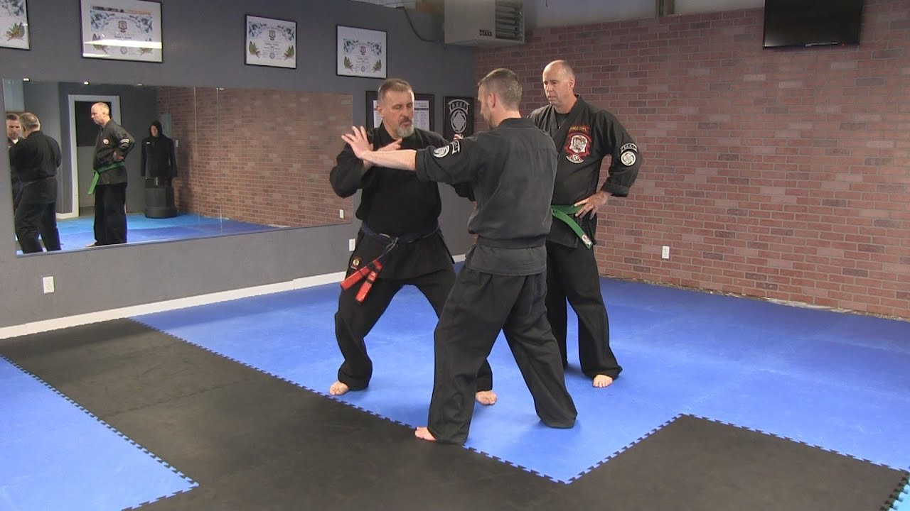 KENPO KARATE Techniques AKKI