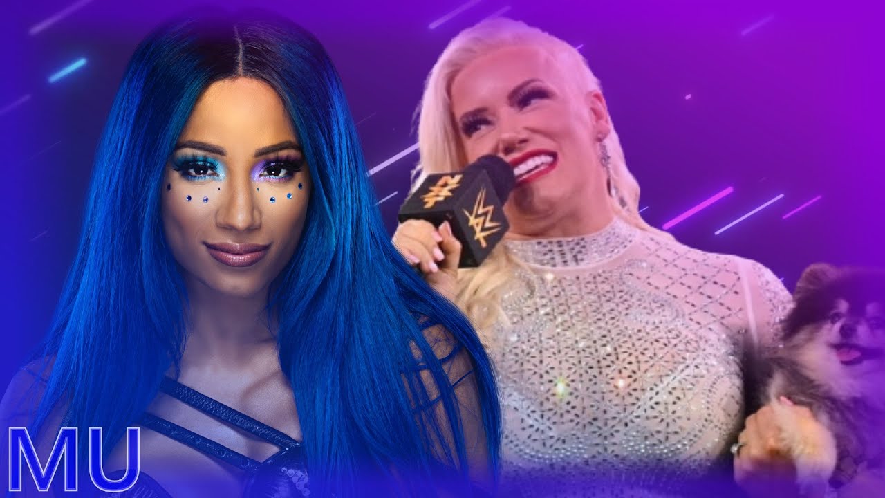 WWE MASHUP: 
