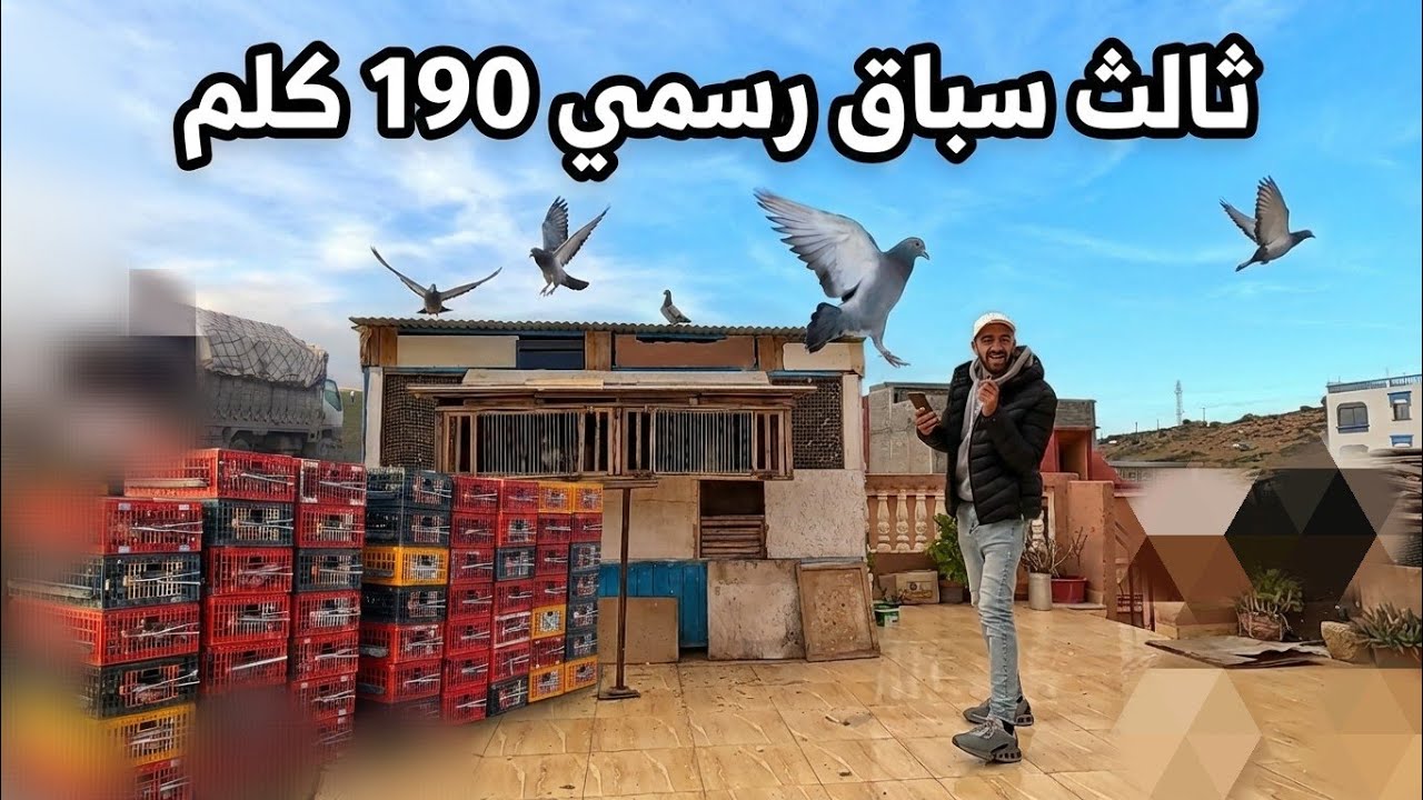 ثالث سباق 190 كلم حواجز 🥳🥳🥳 مفاجأة تولعت 21/20 السرعة طالعة 