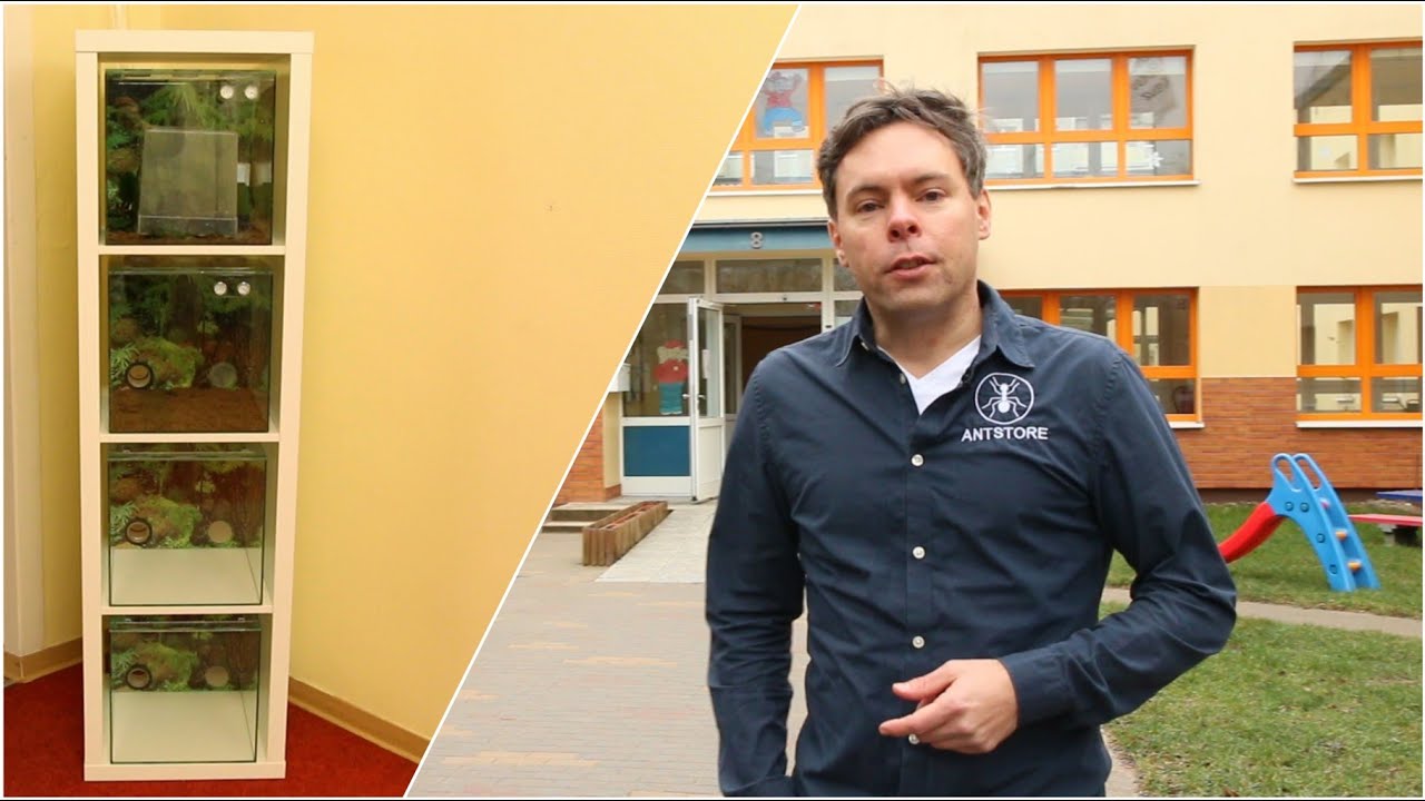 ANTSTORE   DRK Kita Rostock - Ameisenanlage