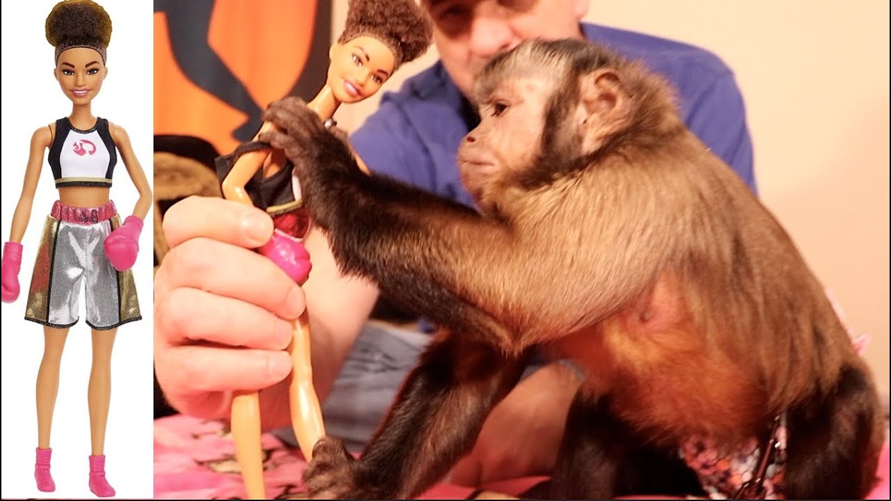 Monkey Girl Vs Boxer Barbie EPIC BATTLE!