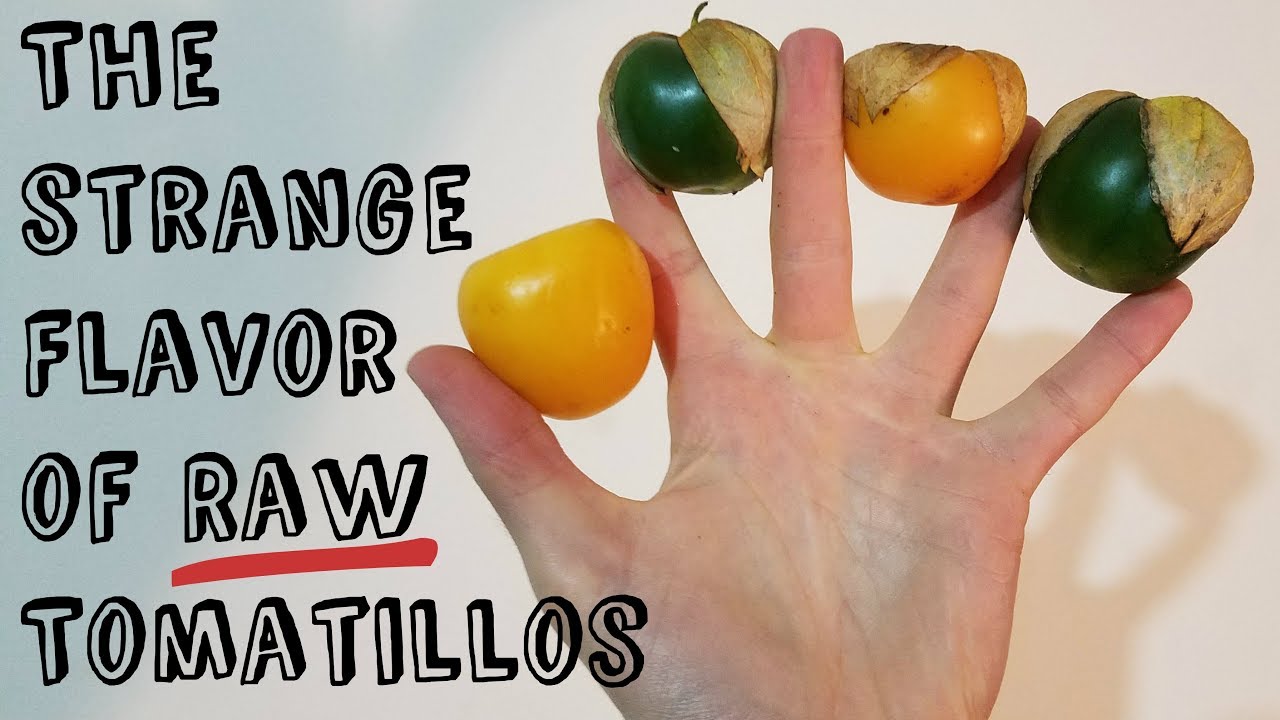 Raw Tomatillo Comparison (Purple, Yellow and Green varieties!)- Weird Fruit Explorer