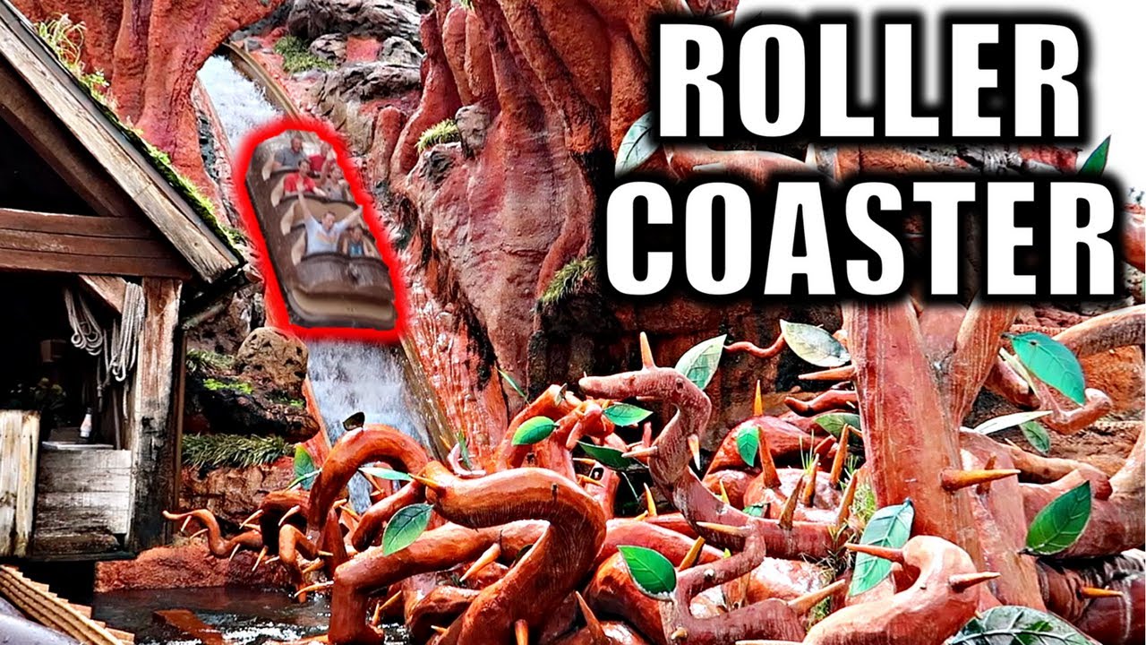 RIDING ROLLER COASTERS AT DISNEY!