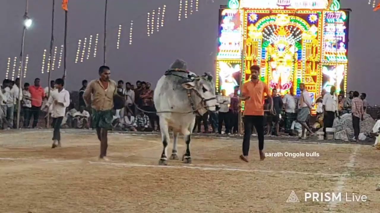 నాదెండ్ల పల్నాడు జిల్లా జూనియర్స్ 8 జత ఎర్ర సాని సుబ్బయ్య గారు పమిడిమర్రు పన్నాడు జిల్లా 