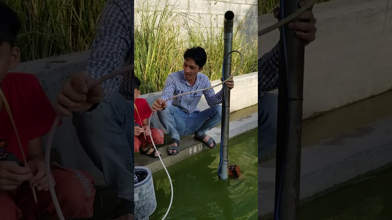 bơm hồ cá koi