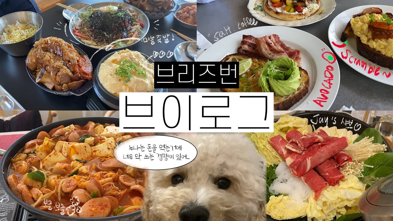 🇦🇺VLOG | 브리즈번 살이 9년차의 맛집가는 일상 모음집 | 집에 수도가 터진 사건 | 여름 맞이 강아지 바다 나들이
