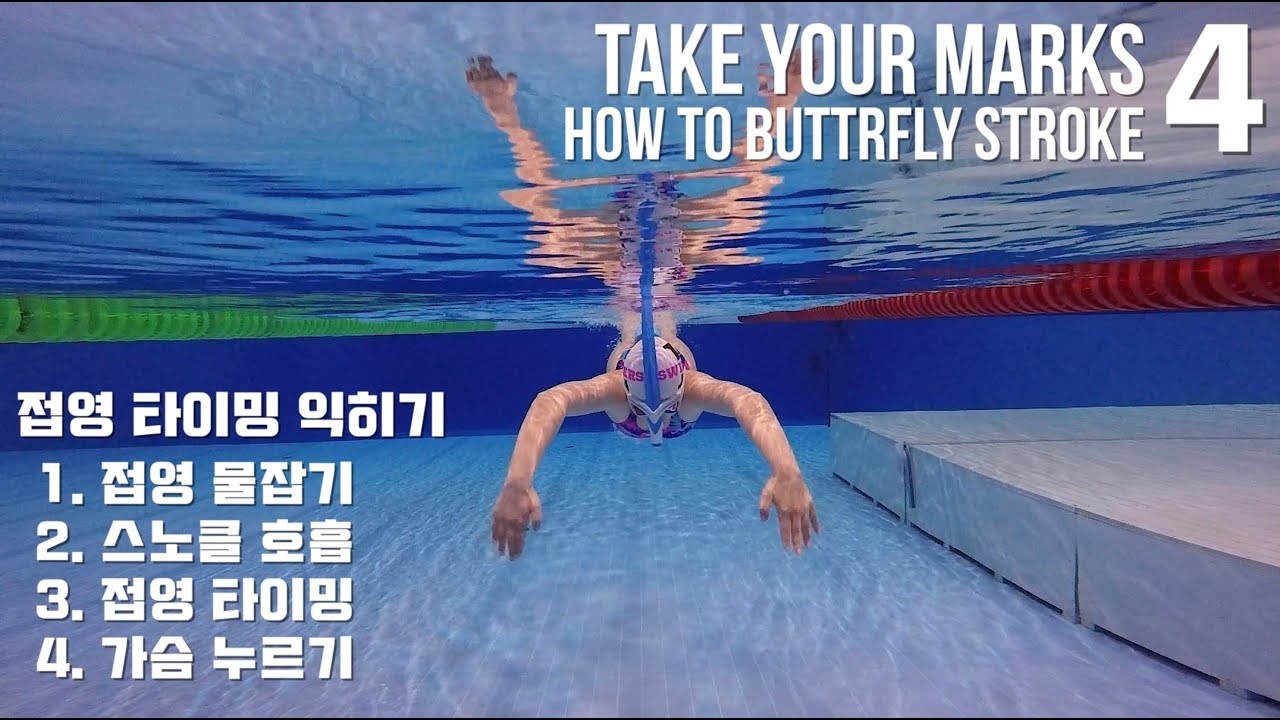 ENG/CHN)  이현진 수영 TYM ) 접영 캐치 물잡기 / 가슴누르기 / 팔돌리기 타이밍 / How to butterfly stroke -4