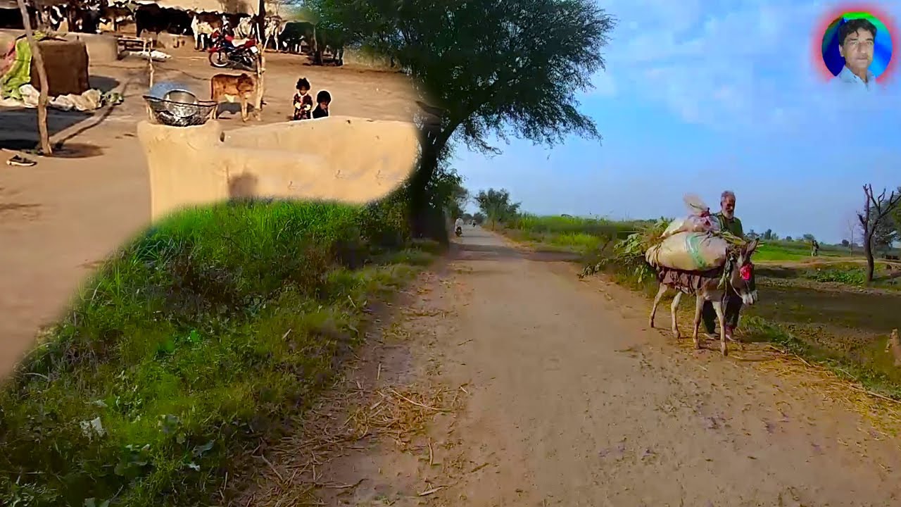 PAKISTAN VILLAGE JAISAK WALKING TOUR / pakistan rural life