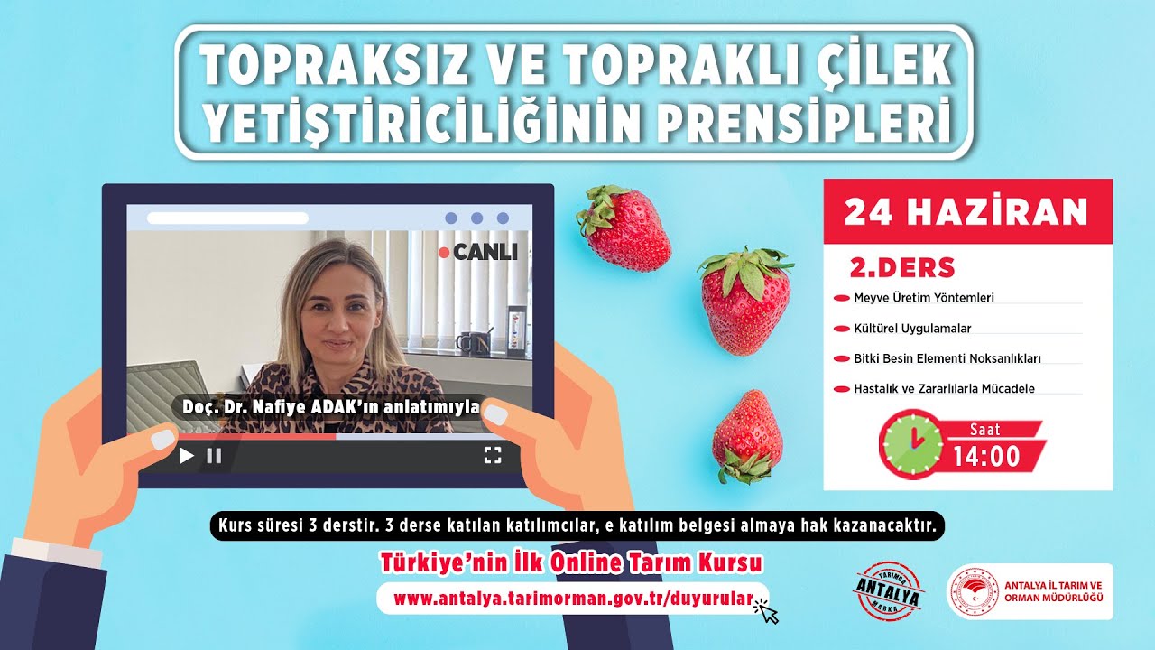 Çilek Yetiştiriciliği 2- Topraksız ve Topraklı Çilek Yetiştiriciliğinin Prensipleri 2.Ders