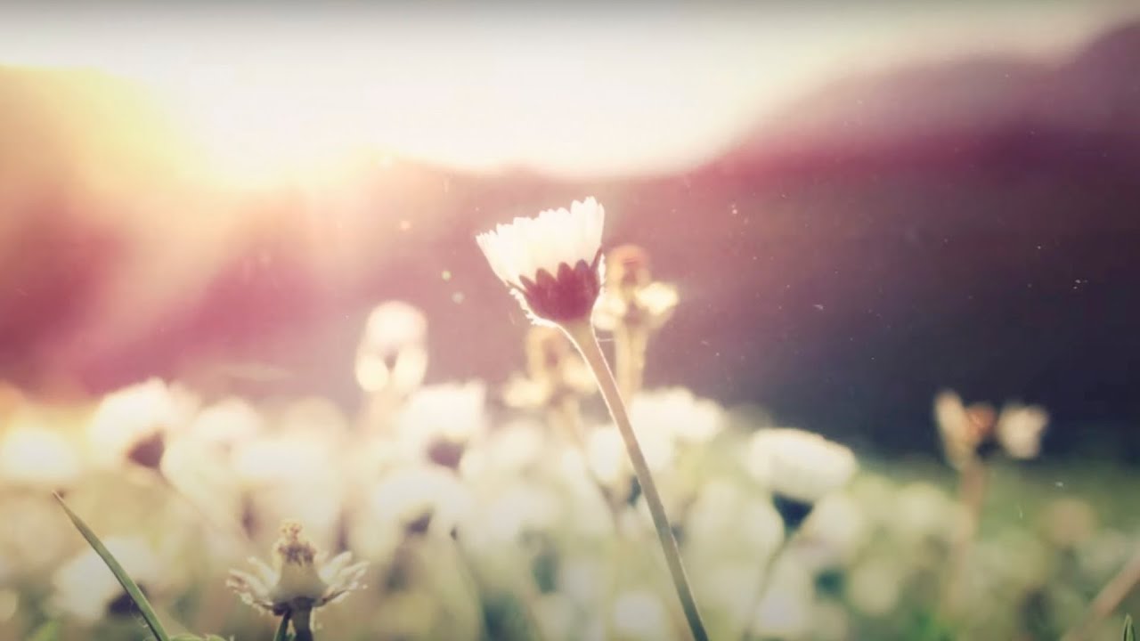 Roman Messer feat. Clare Stagg - For You (Bryan Milton Remix) [Music Video]