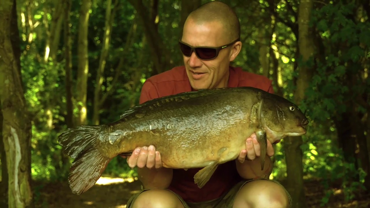 ***Carp Fishing*** DNA Open-Access Series 2018, The Highlights