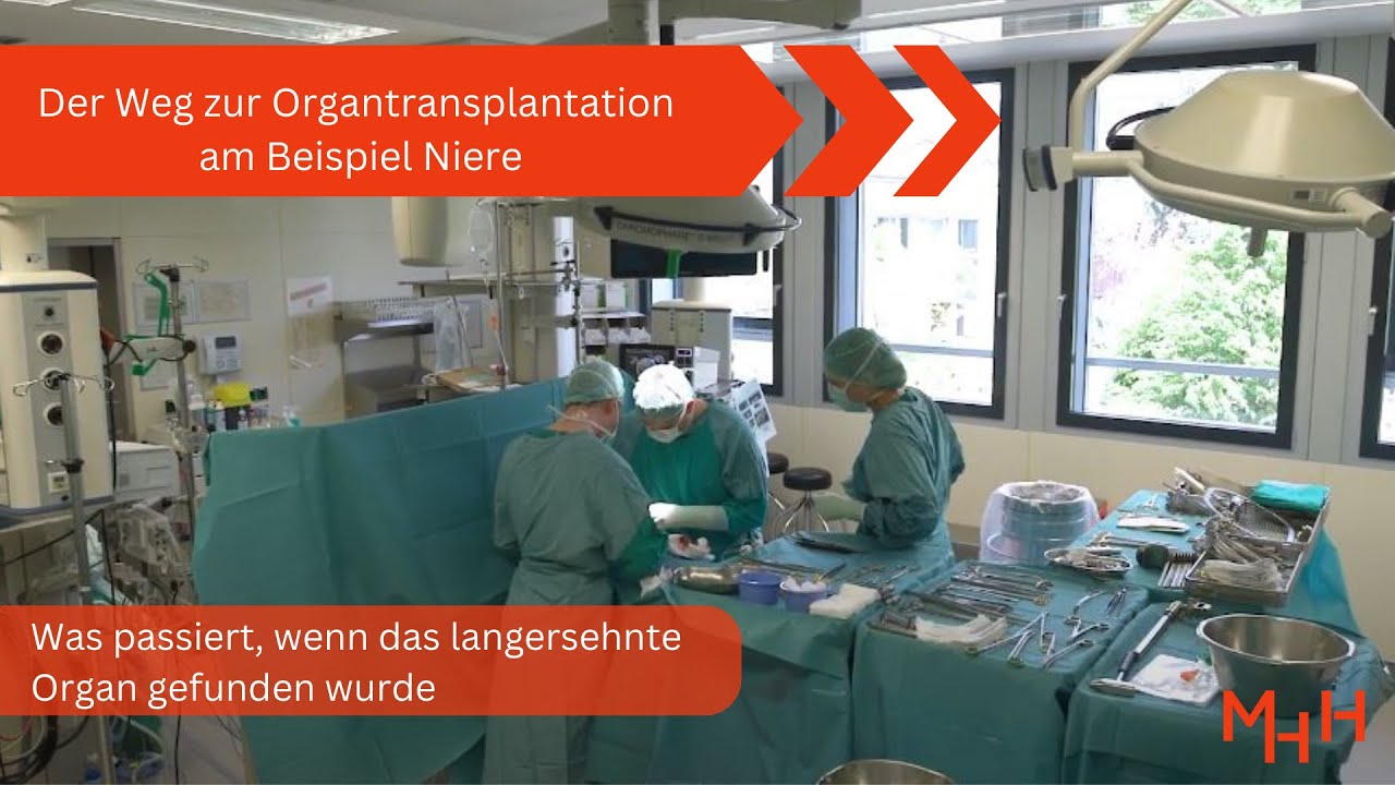 Der Weg zur Organtransplantation - am Beispiel Niere
