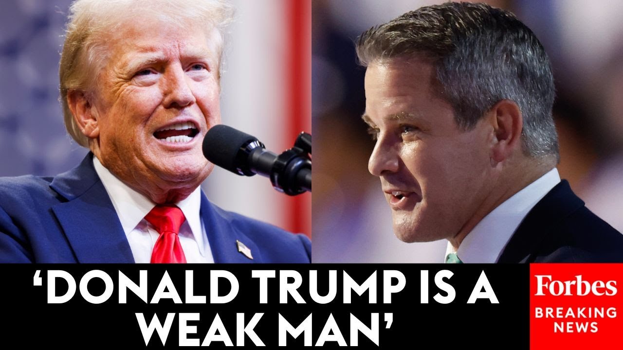 'We Must Put Country First': Republican Adam Kinzinger Torches Trump While Speaking At The DNC
