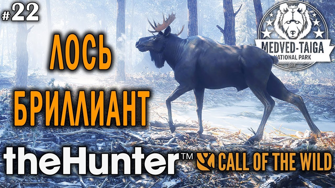 theHunter call of the wild #22 🔫 - Лось-Бриллиант - Винтовка - Медведь, Кабан, Рысь, Лось, Кабарга