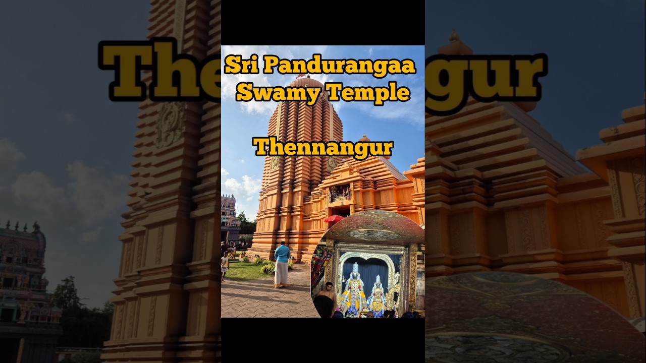Sri Panduranga Swamy Temple, Thennangur perumal Tharisanam🙏 #hibidiaries #shorts #vandavasi #temple