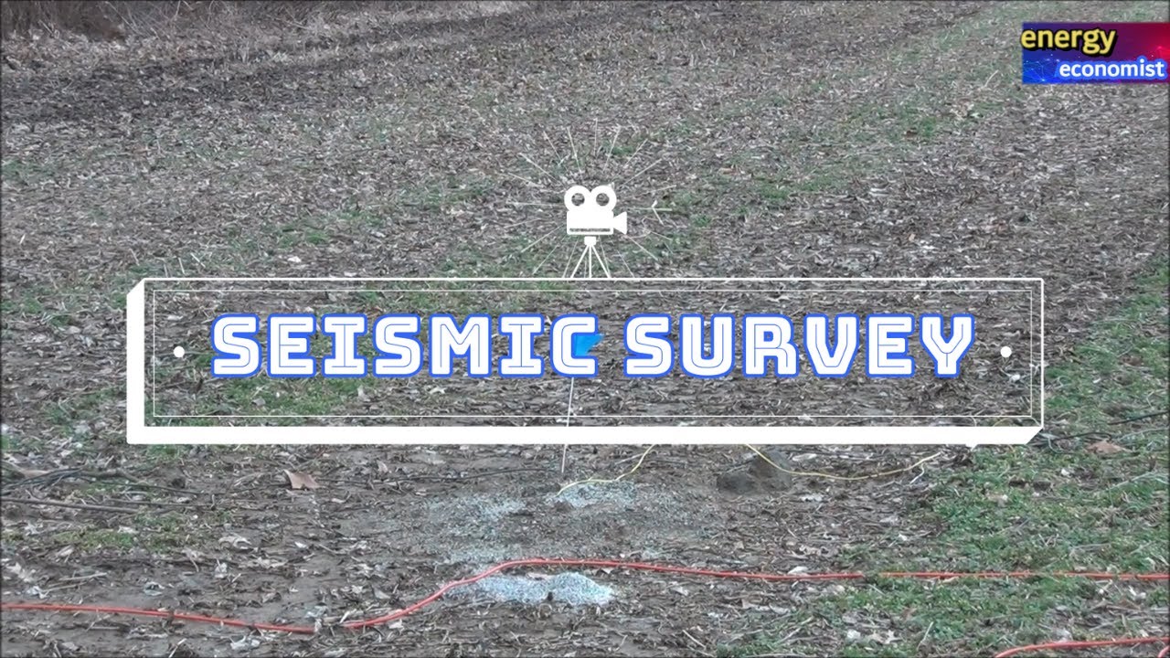 energy economist | SEISMIC SURVEY in finding oil and gas