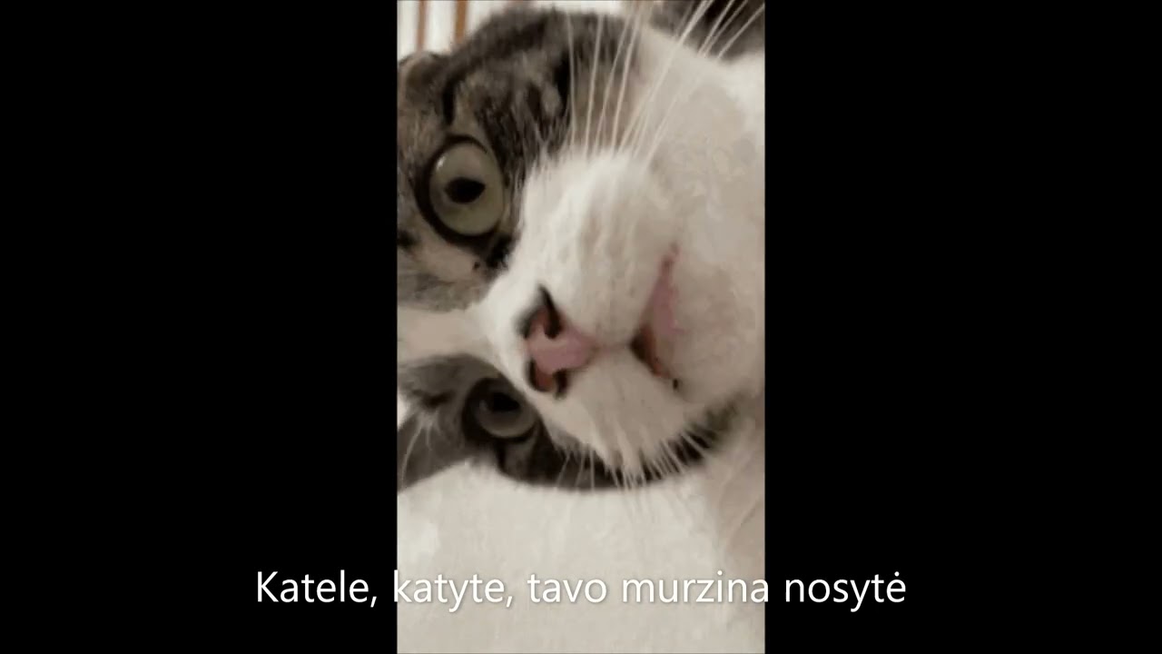 Katele, katyte 2 mp4