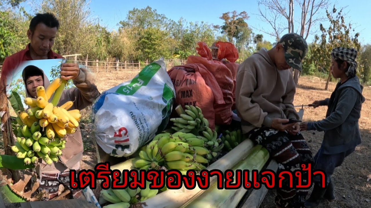 เตรียมของานเเจกป้าหลายคนม่วนๆ/ຕຽມຂອງງານເເຈກປ້າ5 กุมภาพันธ์ ค.ศ. 2026